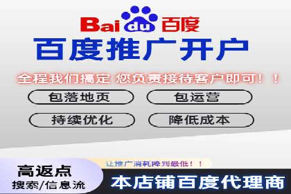行业领先企业的百度广告推广经验分享